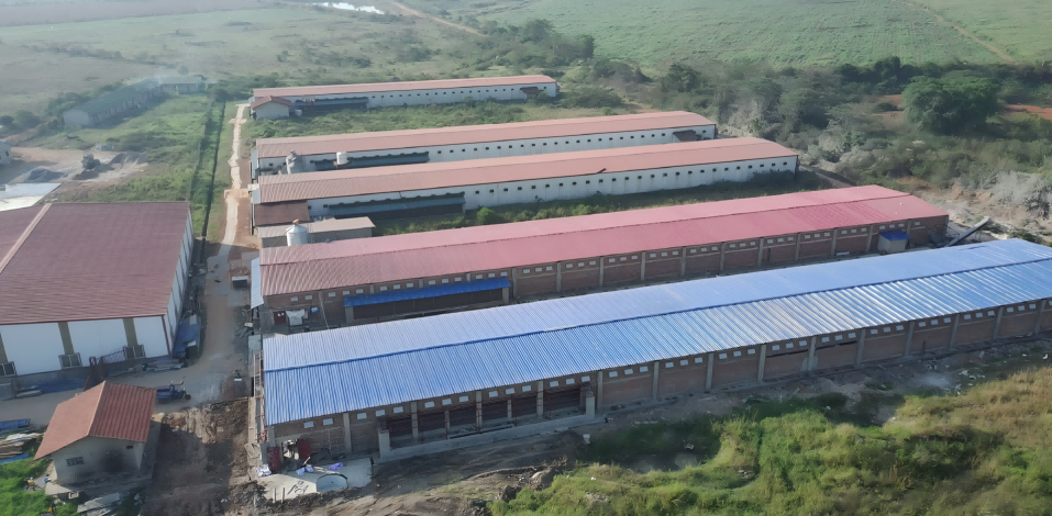 Oeganda 1 miljoen lagen project