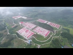 Legbatterijensysteem voor pluimvee