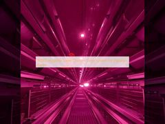 80000 Hygiënisch laag kipkooi systeem voor Pakistaanse boerderijen