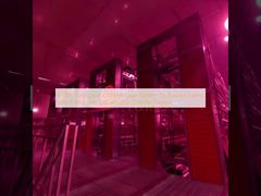 60000 Veilige laag kippenkooi systeem voor Russische boerderijen met 9 vogels per cel en milieuvriendelijk ontwerp