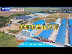 12 lagen 6 rijen lagenboerderij