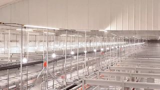 Farmro kooivrij systeem met goede prestaties
